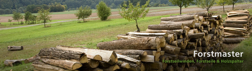 Forstmaster Holzspalter